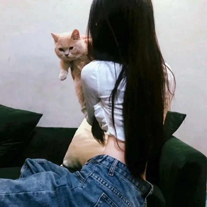狂宴