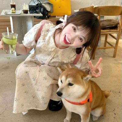 日落节拍